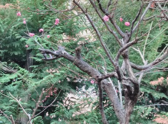 そらの家、武蔵小杉、川崎、中原区、デイサービス、ケア、介護、スタッフ募集