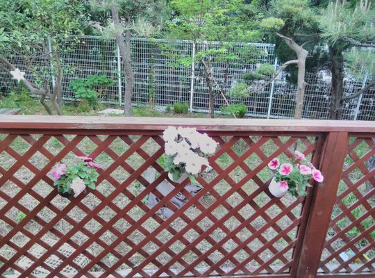 そらの家、武蔵小杉、川崎、中原区、デイサービス、ケア、介護、スタッフ募集